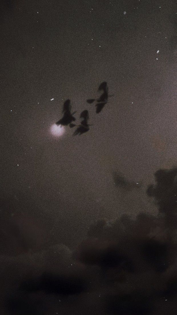 three birds flying in the night sky with stars and clouds behind them on a cloudy day