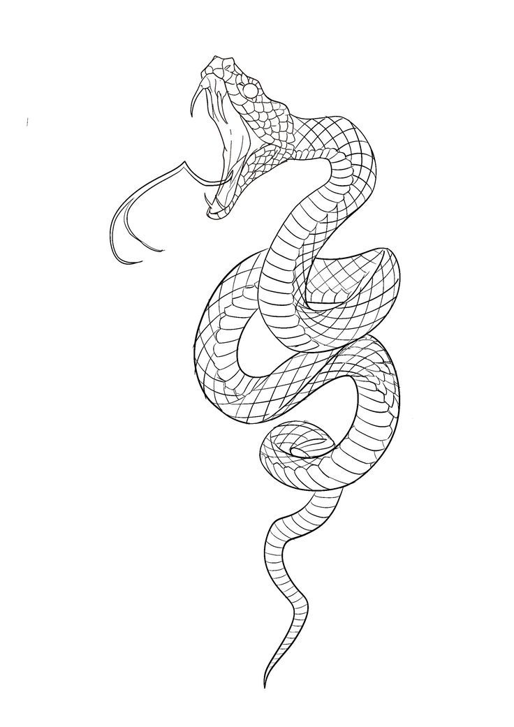 a black and white drawing of a snake