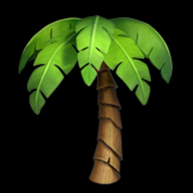 a green palm tree on a black background