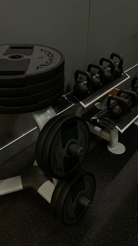 there is a row of dumbbells on the floor next to a rack of weight plates