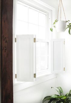 a plant is hanging in front of a window with two white shutters on the windowsill