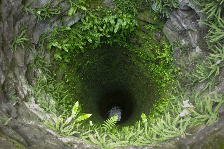 an aerial view of the inside of a rock tunnel with plants growing out of it