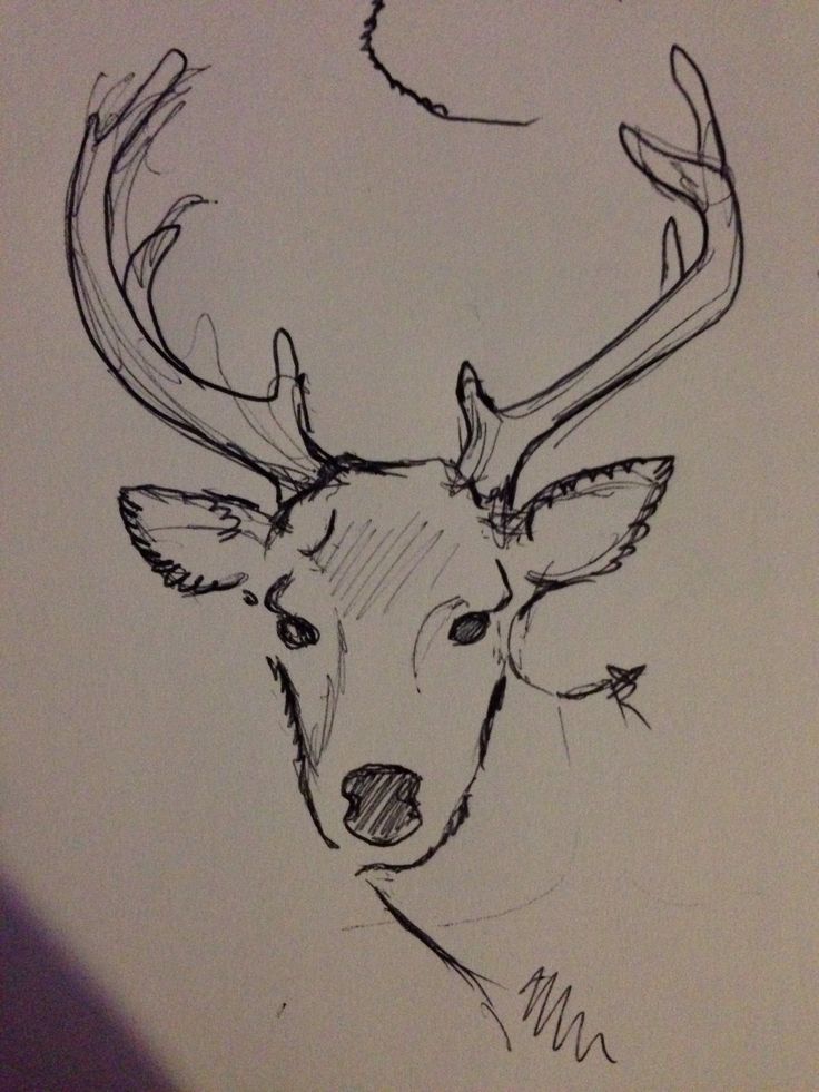 a drawing of a deer with antlers on it's head