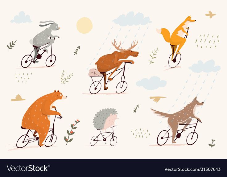 four animals riding on bicycles in the rain and sun, with one running behind them