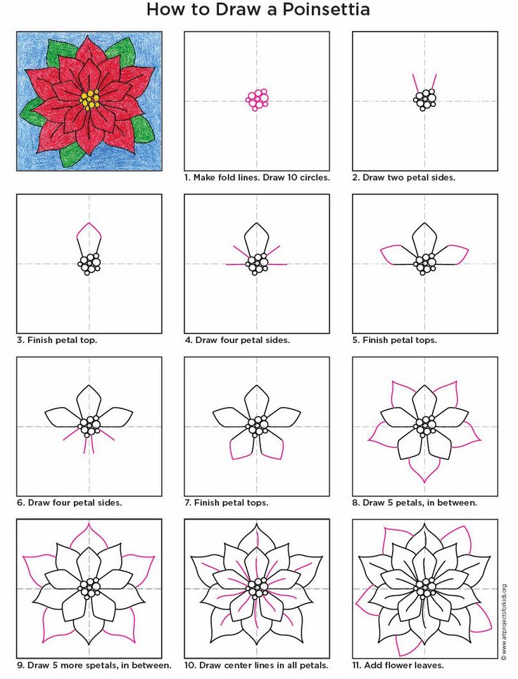 how to draw a poinsettia flower