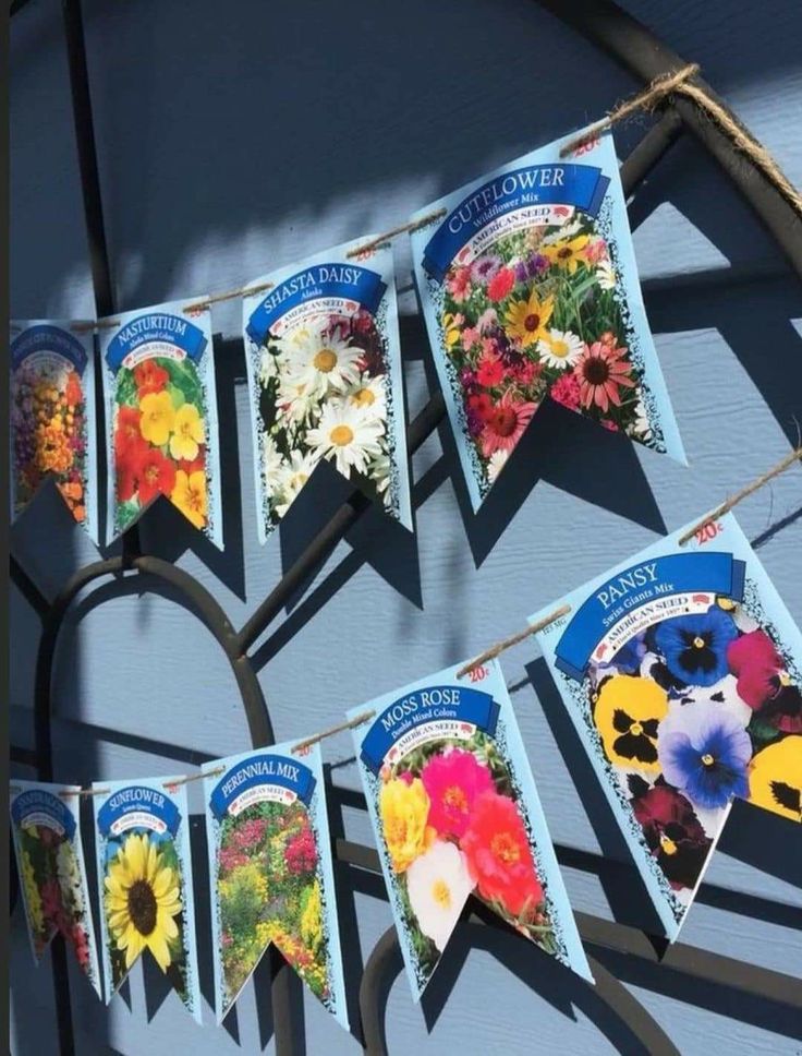 a bunch of flowers are hanging on a clothes line