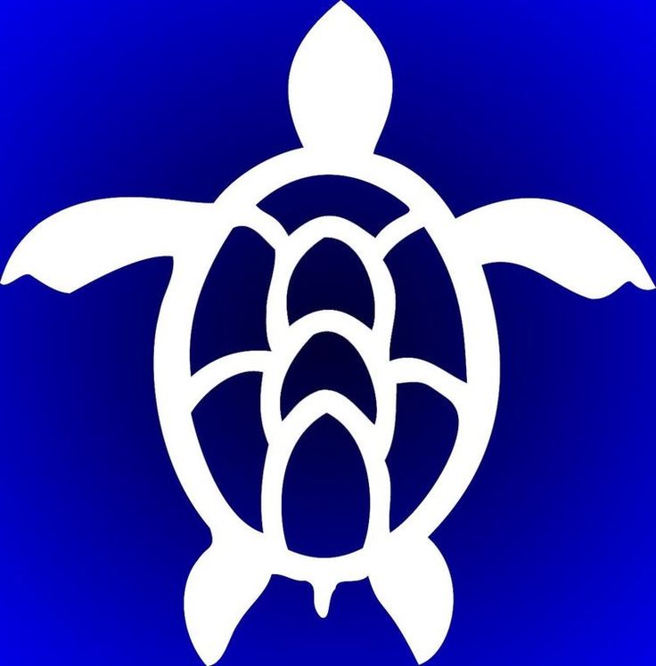 a white turtle on a blue background