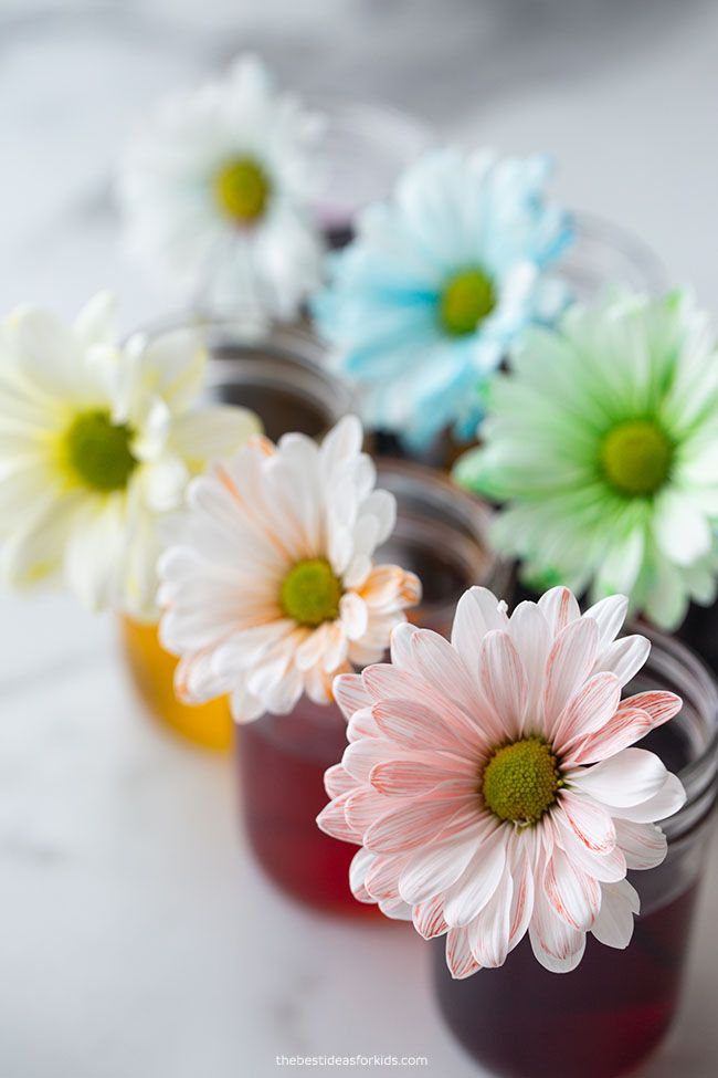 four jars filled with flowers sitting on top of a white countertop next to each other