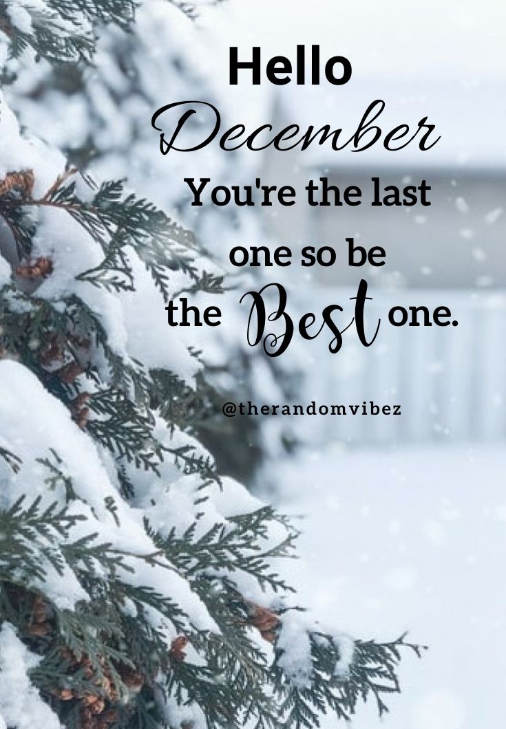 a pine tree covered in snow with the words hello december you're the last one so be the best one