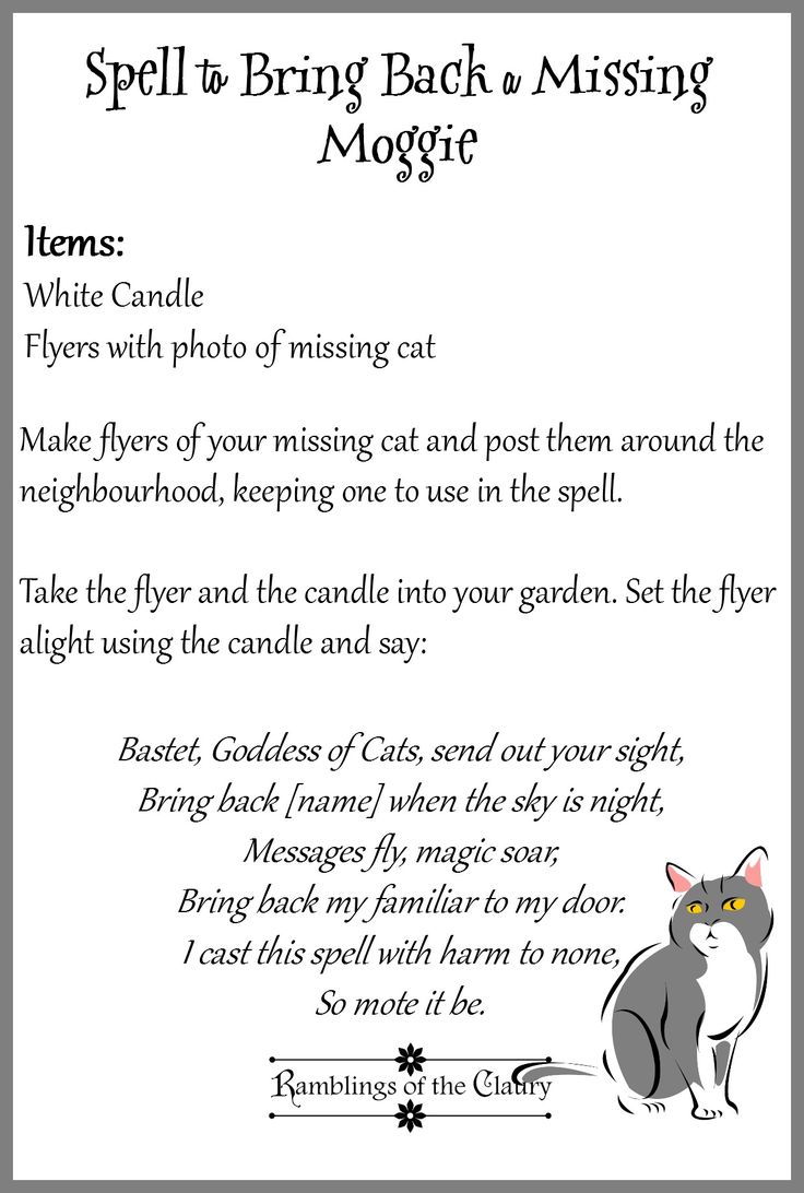 Cat Spells Witches, Spell To Find A Lost Pet, Spell To Bring Back Lost Pet, Lost Pet Spell Cats, Lost Cat Spell, Spell To Bring A Lost Pet Home, Spells To Find A Lost Pet, Spell To Find Lost Cat, Cat Protection Spell