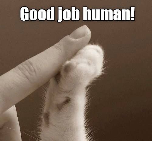 a dog paw is being held up by someone's hand with the caption, good job human