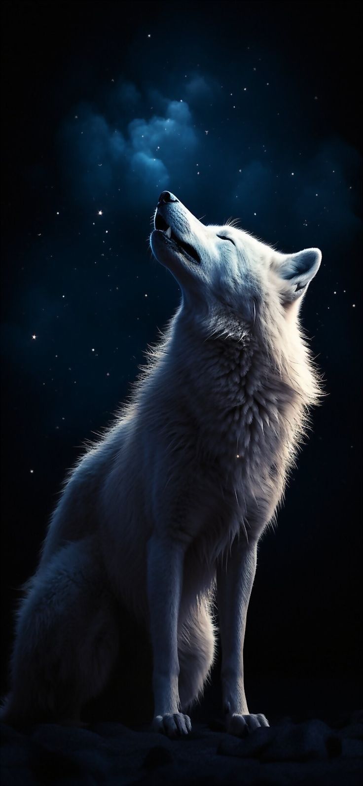 a white wolf looking up at the night sky