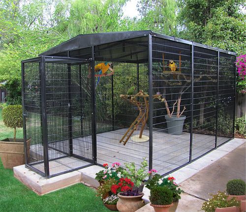 a large black caged in area with flowers and potted plants on the ground