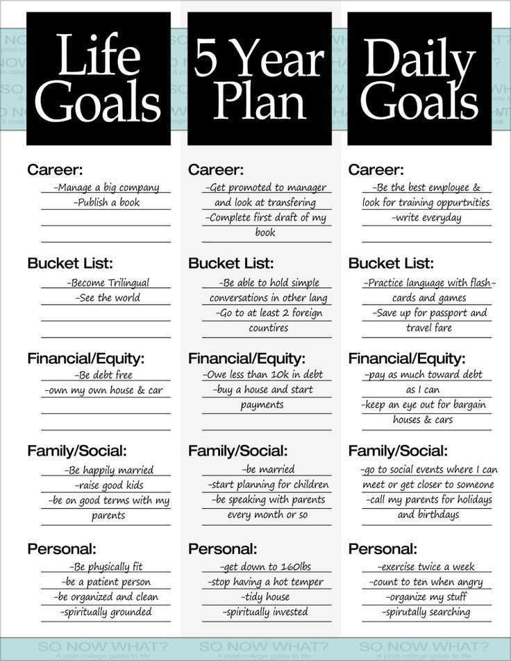 the five year goal plan is shown in black and white