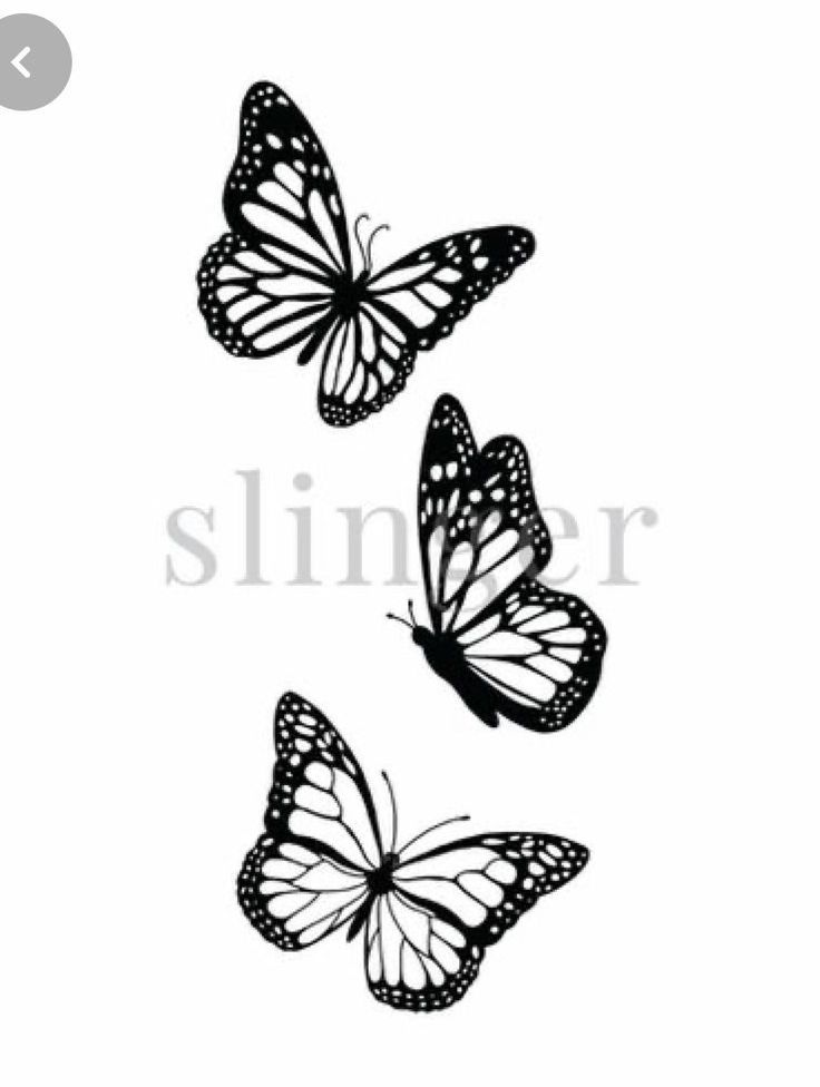 three butterflies flying in the air with one on its back and one on it's side