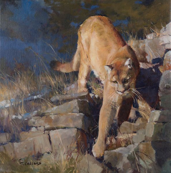 a painting of a mountain lion walking on rocks and grass with trees in the background