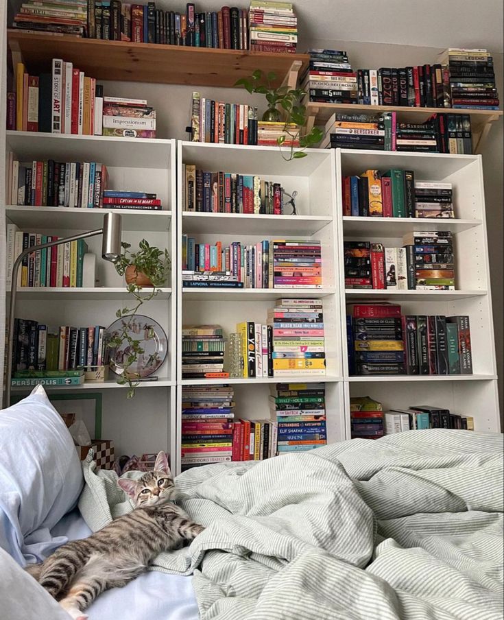 a cat laying on top of a bed next to a book shelf filled with books