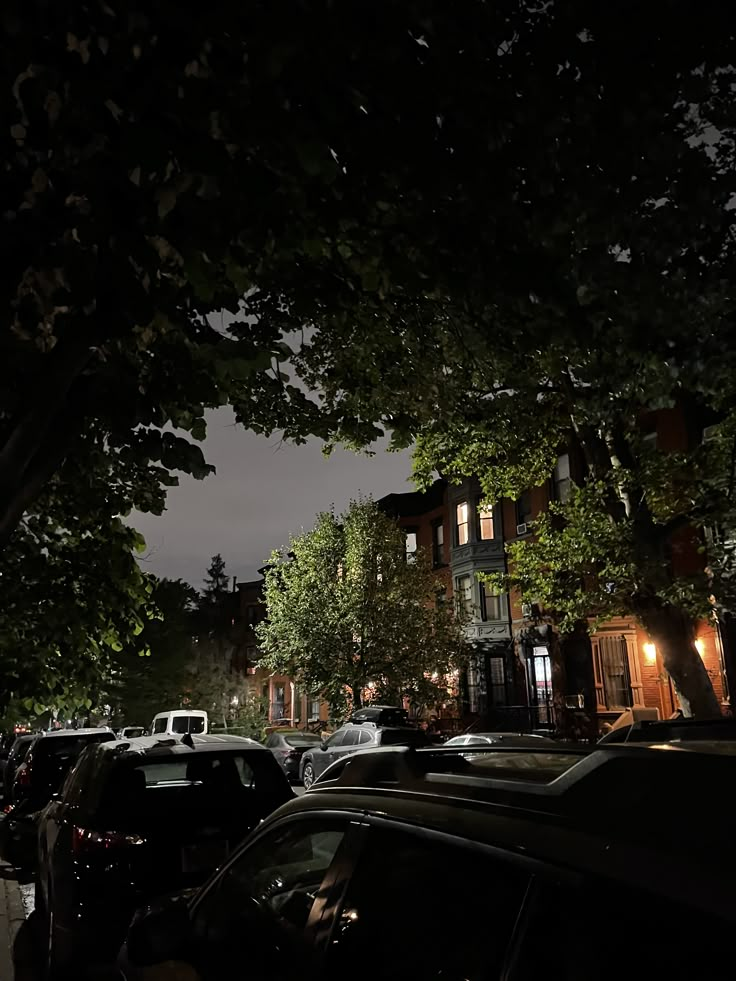 cars are parked on the street at night