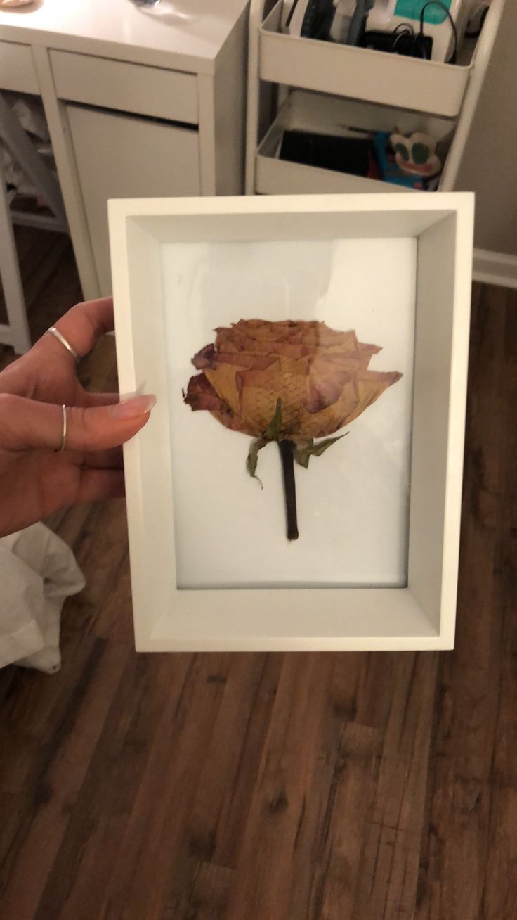 a person holding up a framed leaf in their hand