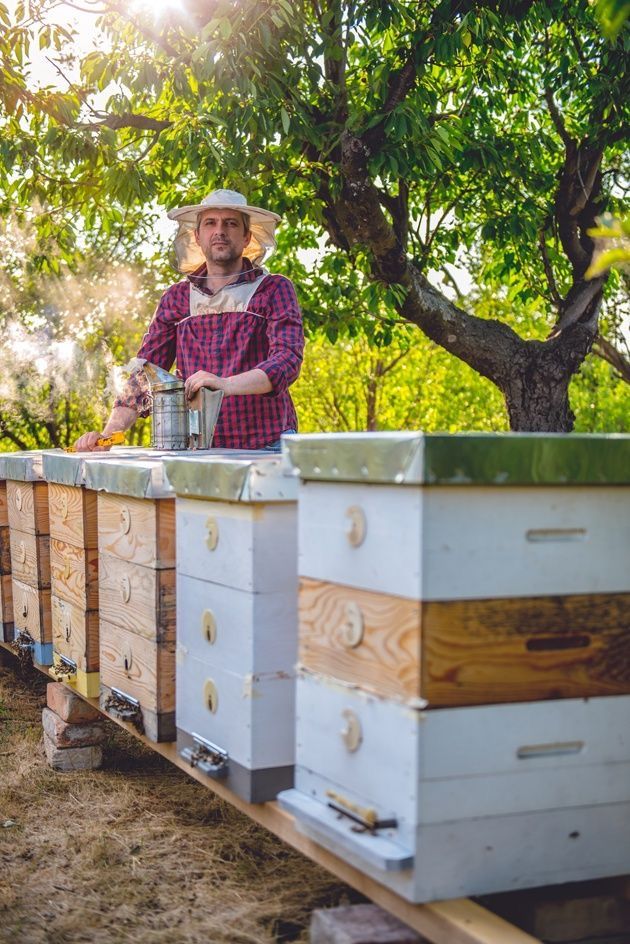 a man standing next to some bee boxes