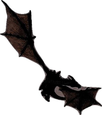 a black bat flying through the air on a white background