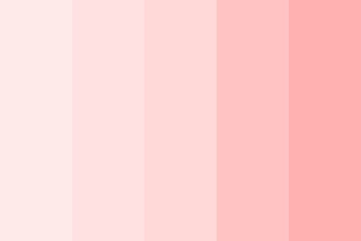 a pink color palette with vertical stripes