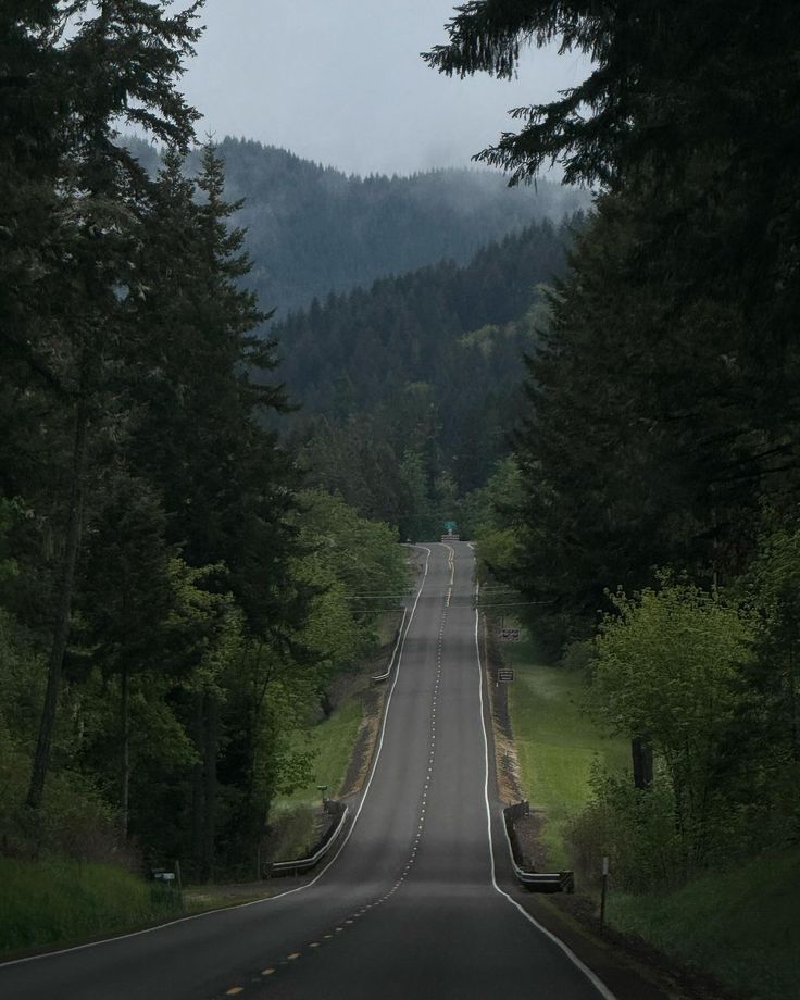 an empty road surrounded by trees and mountains