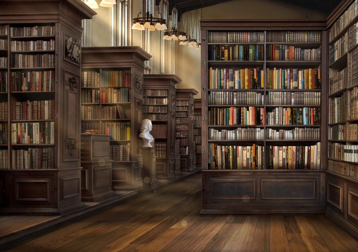 an empty library with lots of books on the shelves and wooden floors, along with chandeliers hanging from the ceiling