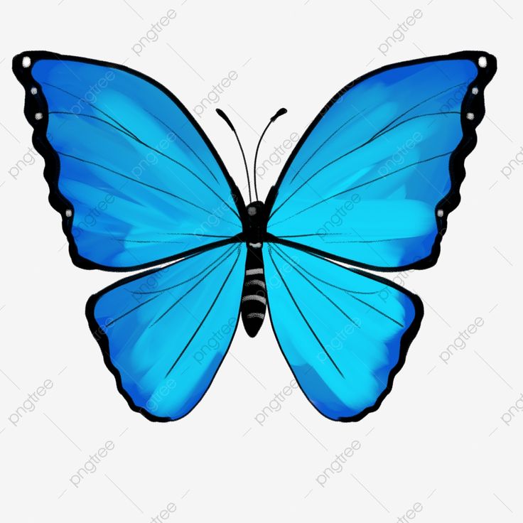 a blue butterfly flying in the air with its wings spread out and black stripes on it