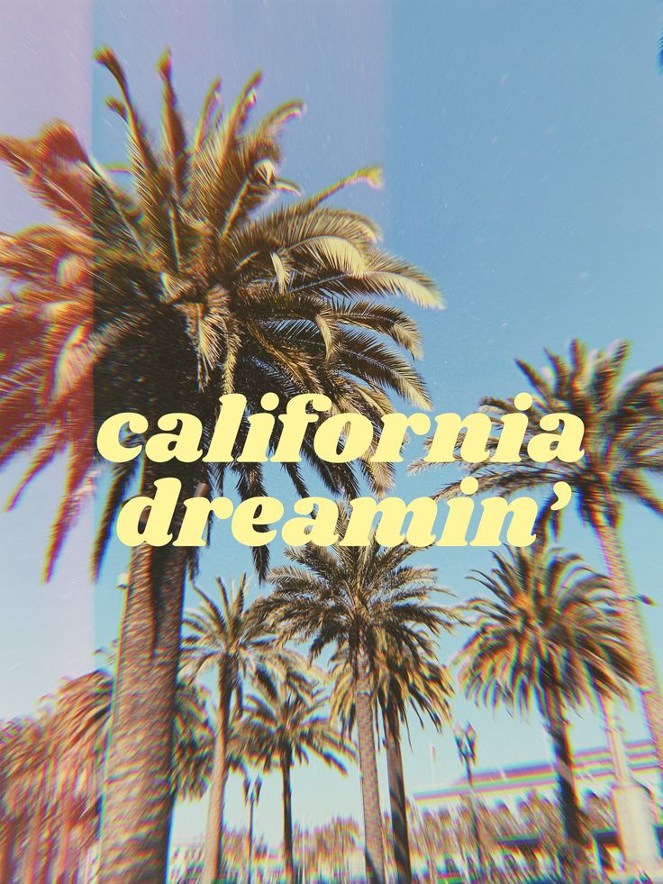 palm trees with the words california dream written on them