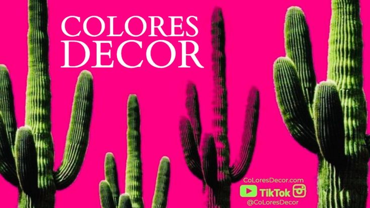 CoLores Decor l MeXican Artisan DECOR