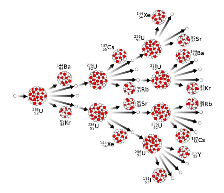 the diagram shows how many different dots are arranged in order to make it appear like they are