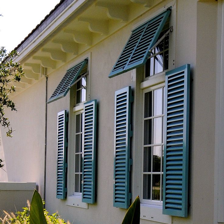 two windows with blue shutters are on the side of a white building near plants