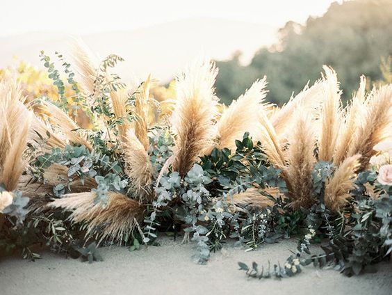 some plants and flowers are in the sand