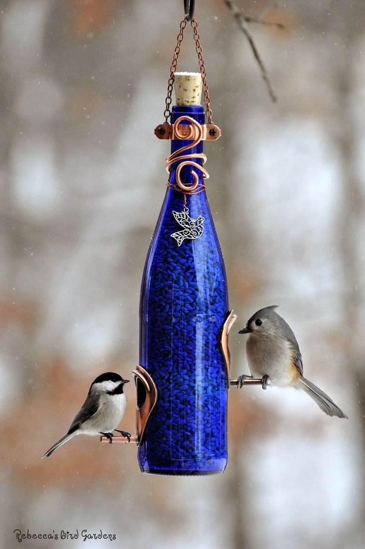 two birds sitting on top of a blue bottle that is hanging from a bird feeder