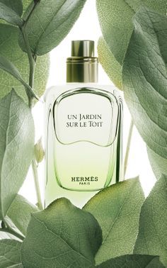 a bottle of perfume surrounded by green leaves