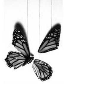 three black and white butterflies hanging from strings