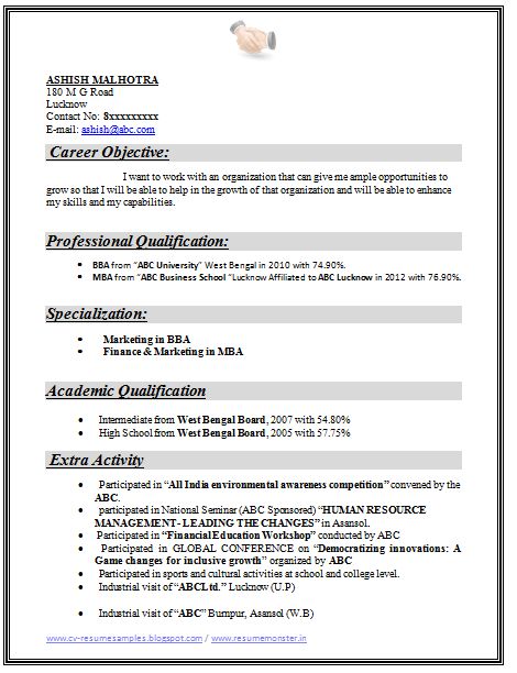 a professional resume format for students with no work experience