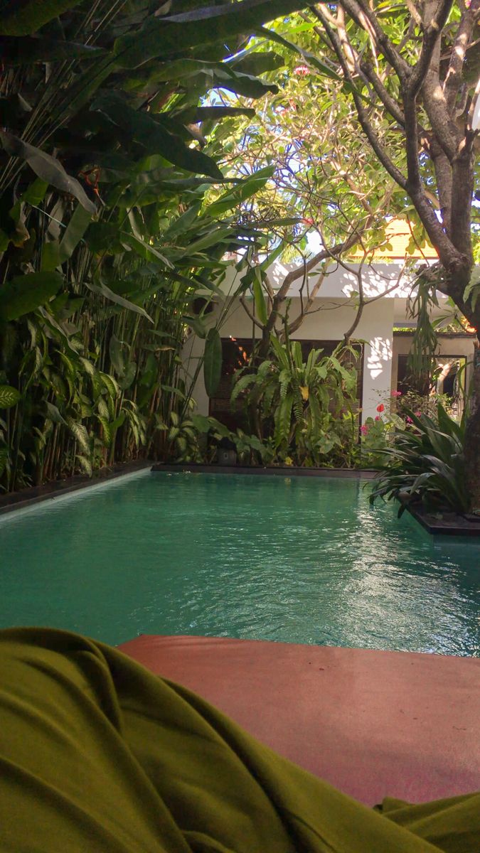 an empty swimming pool surrounded by trees and plants