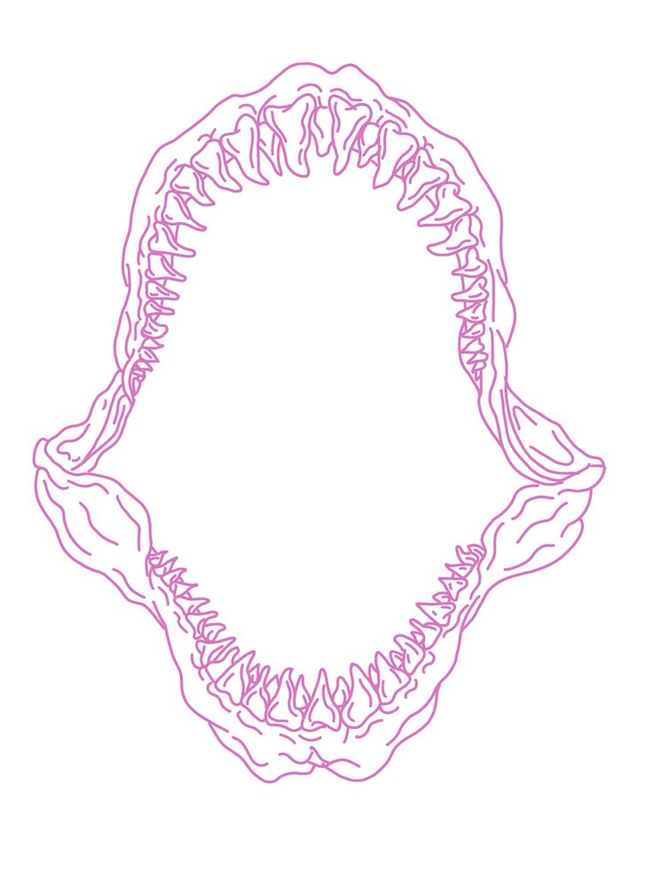 a drawing of a circular object with pink lines in the shape of an animal's mouth