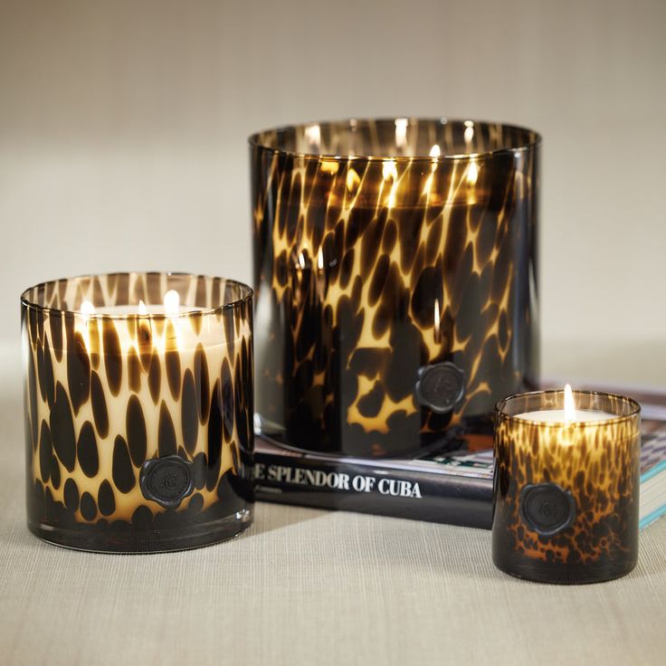 three leopard print candles sitting next to each other on top of a book and some books