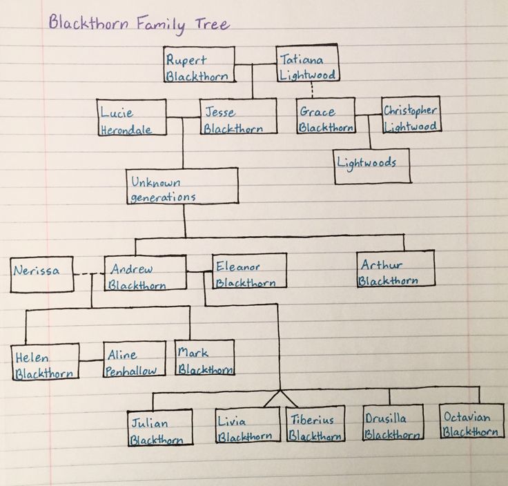 a family tree is shown on a piece of paper