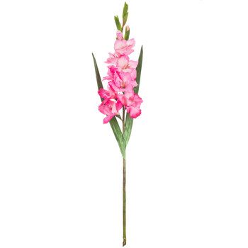 a pink flower with green stems on a white background