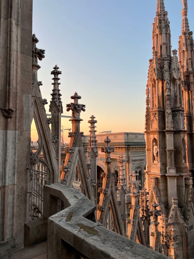 the cathedrals are all lined up in rows