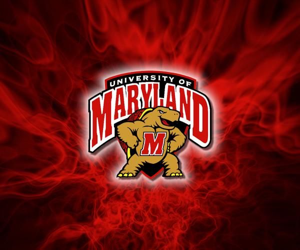 * Get Great Discounts In The Maryland Terrapins Gear Sale! Maryland Wallpaper, Good Phone Backgrounds, Florida State Seminoles Football, Maryland Terrapins, Wallpaper Dekstop, University Of Maryland, Wallpaper Cave, Wallpaper Pictures, Wallpaper Pc