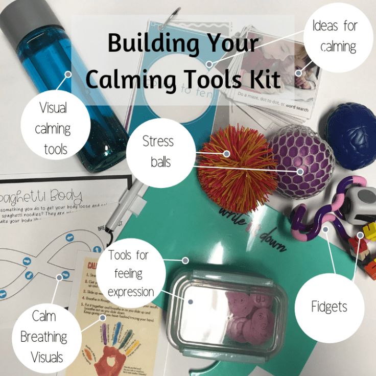 the contents of a child's learning tool kit