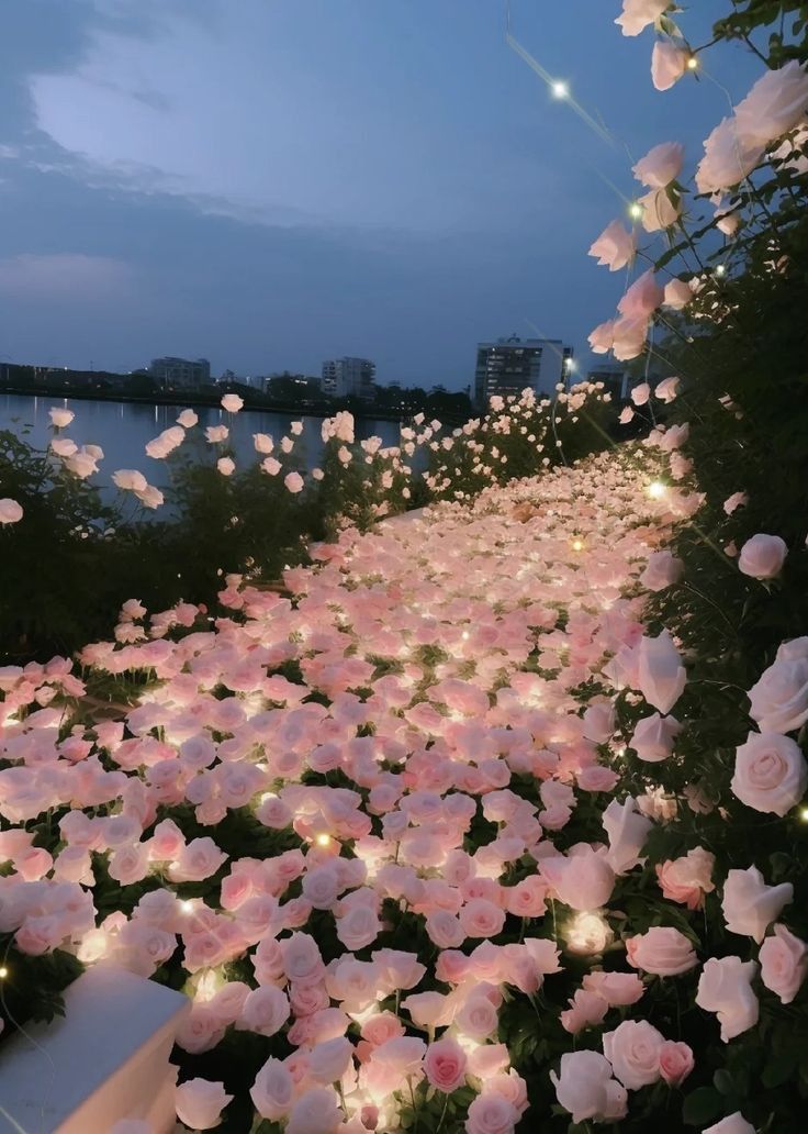 pink flowers with fairy lights in the middle