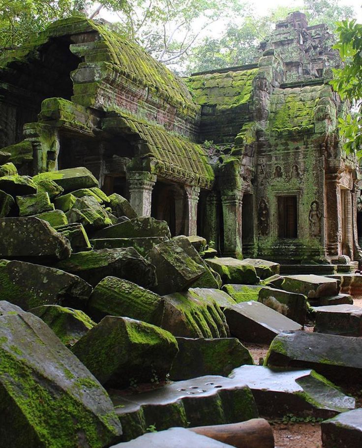 an ancient building with moss growing on the rocks and trees in the backgroud