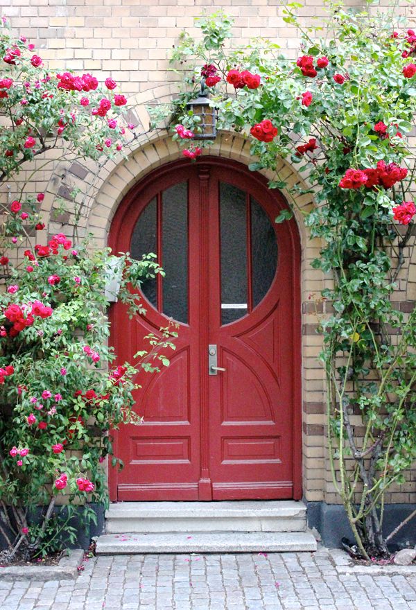 a red door with roses growing on it