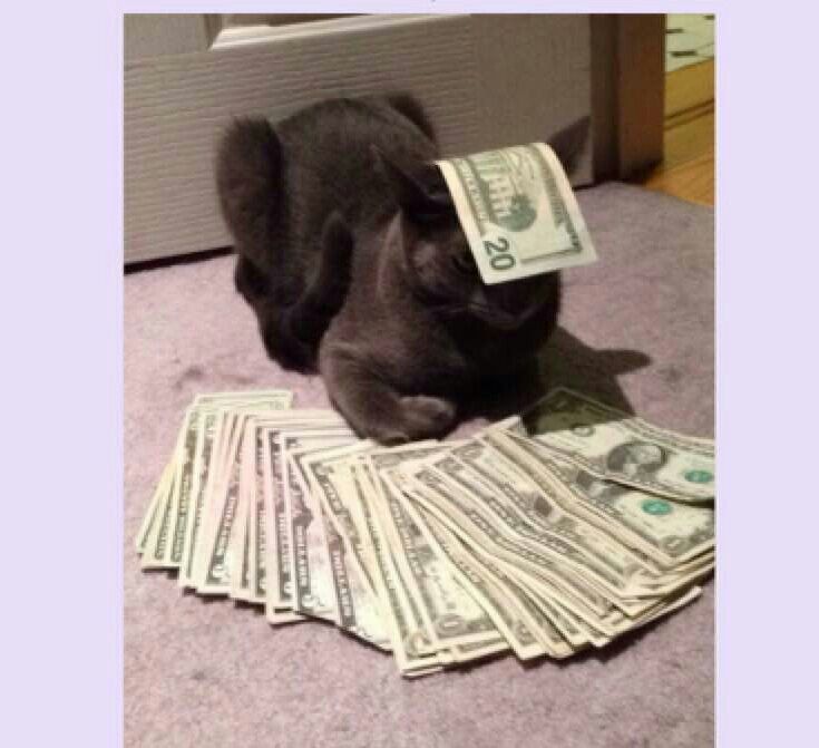 a cat is sitting on the floor with money in its mouth and it's eyes closed